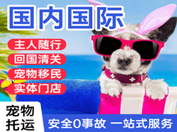阿拉尔塔里木机场邮寄国际宠物托运 【国
